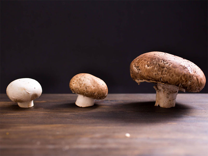 3 growth stages of cremini mushrooms