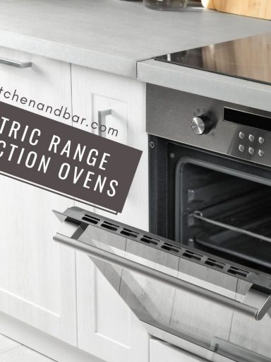 Best Electric Range with Convection Ovens