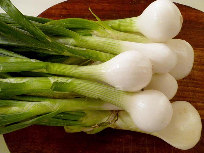 This is a type of green onion commonly found in Asia, especially in Southeast Asian countries