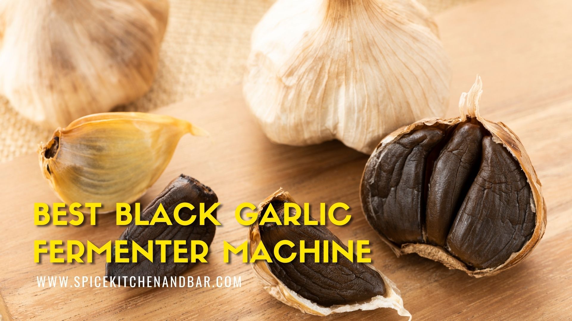 Best Black Garlic Fermenter Machine
