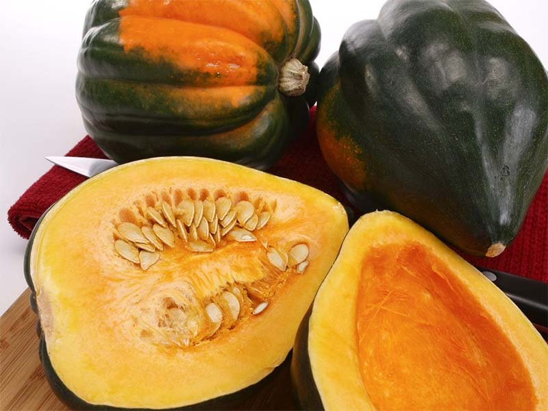 Acorn Squash