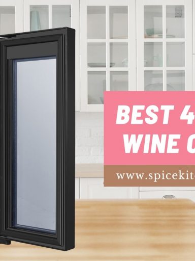 Best 4-Bottle Wine Coolers
