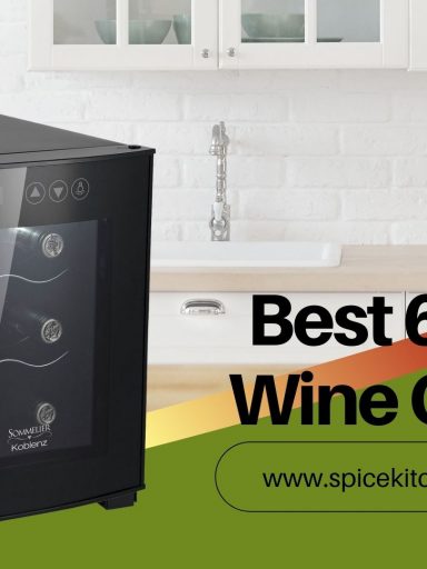 Best 6-Bottle Wine Coolers