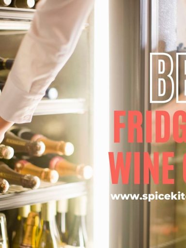 Best Fridge with Wine Cooler