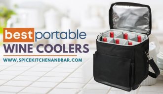 Best Portable Wine Coolers