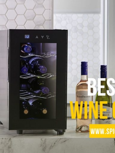 Best Small Wine Coolers