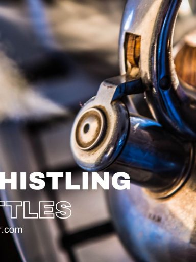 Best Whistling Tea Kettles