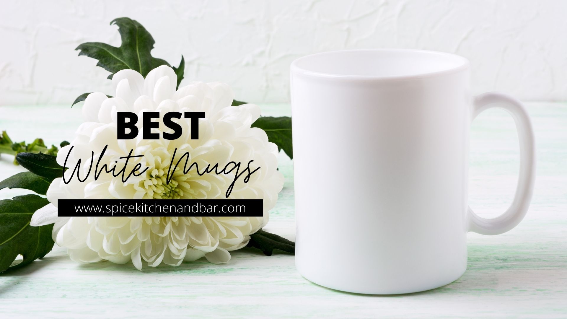 Best White Mugs