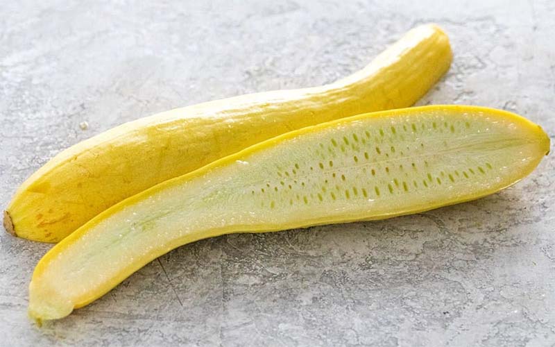 Crookneck Squash