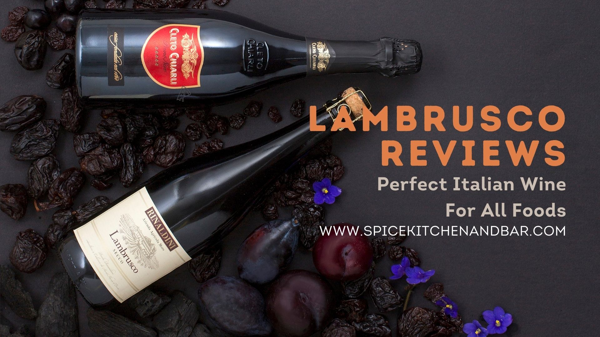 Lambrusco Reviews