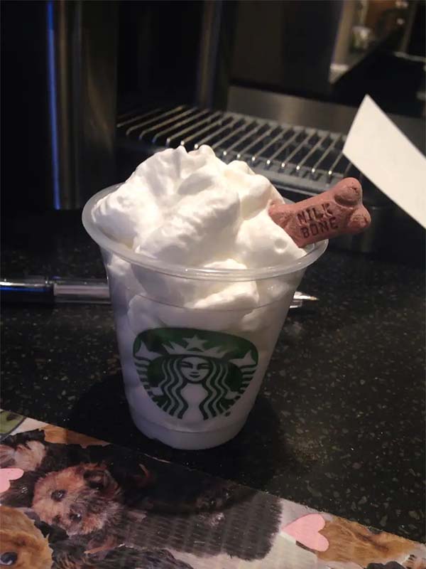 What Is The Price Of A Starbucks Puppuccino
