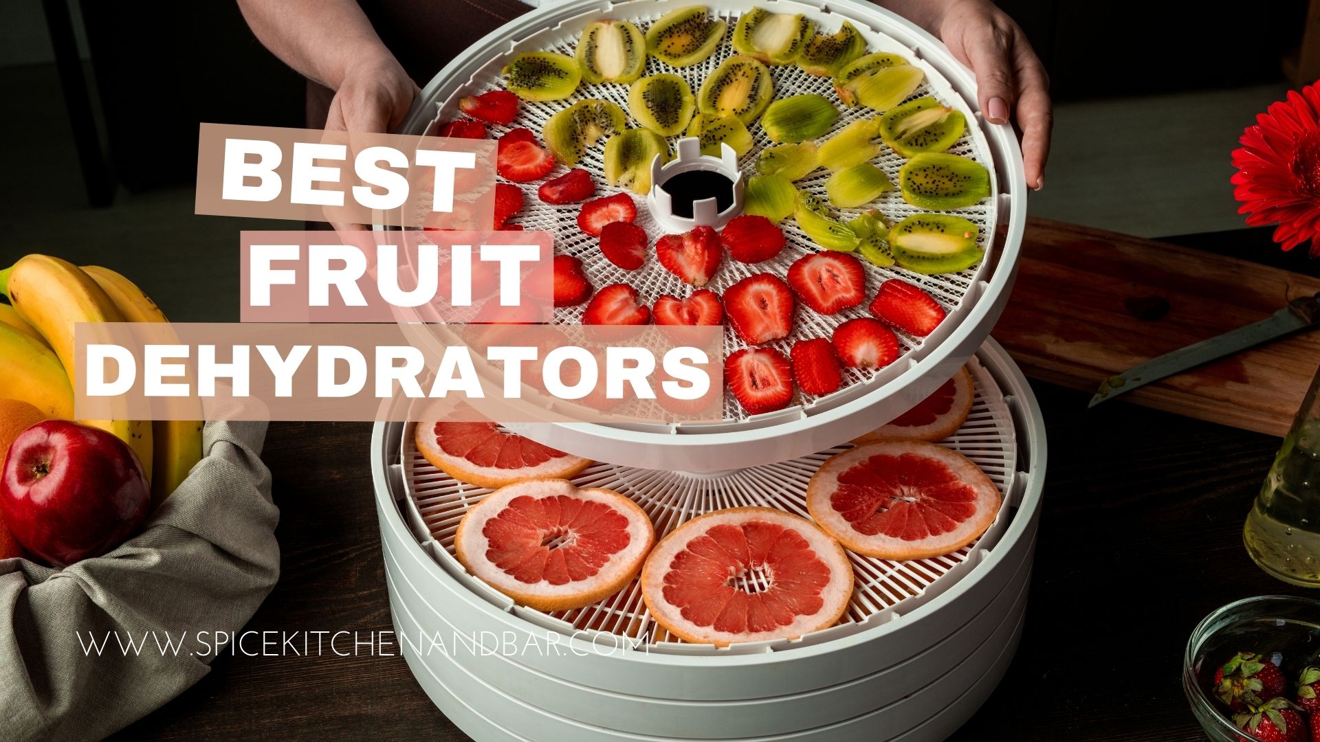 Best Fruit Dehydrators