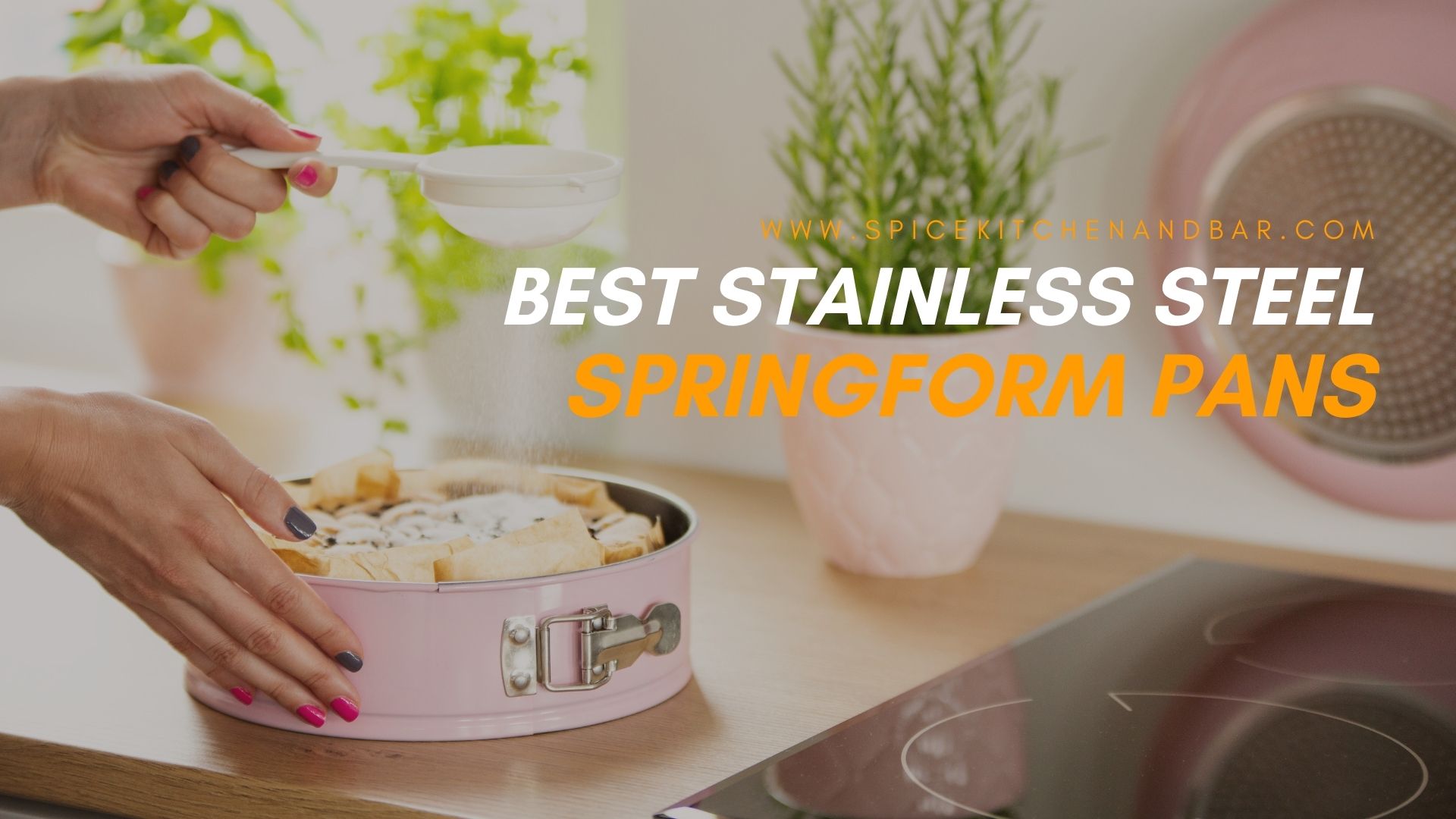Best Stainless Steel Springform Pans