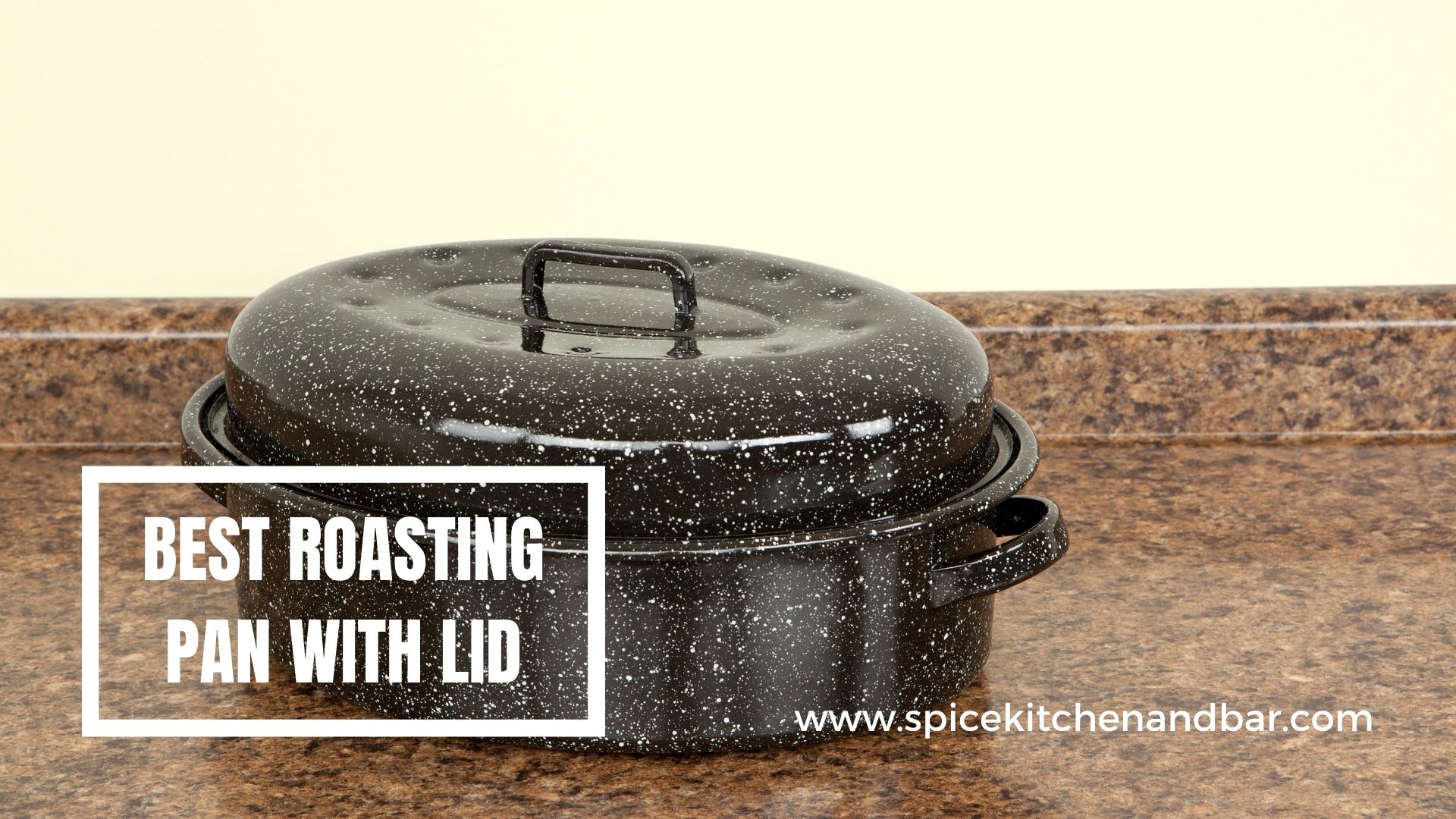 Best Roasting Pan with Lid