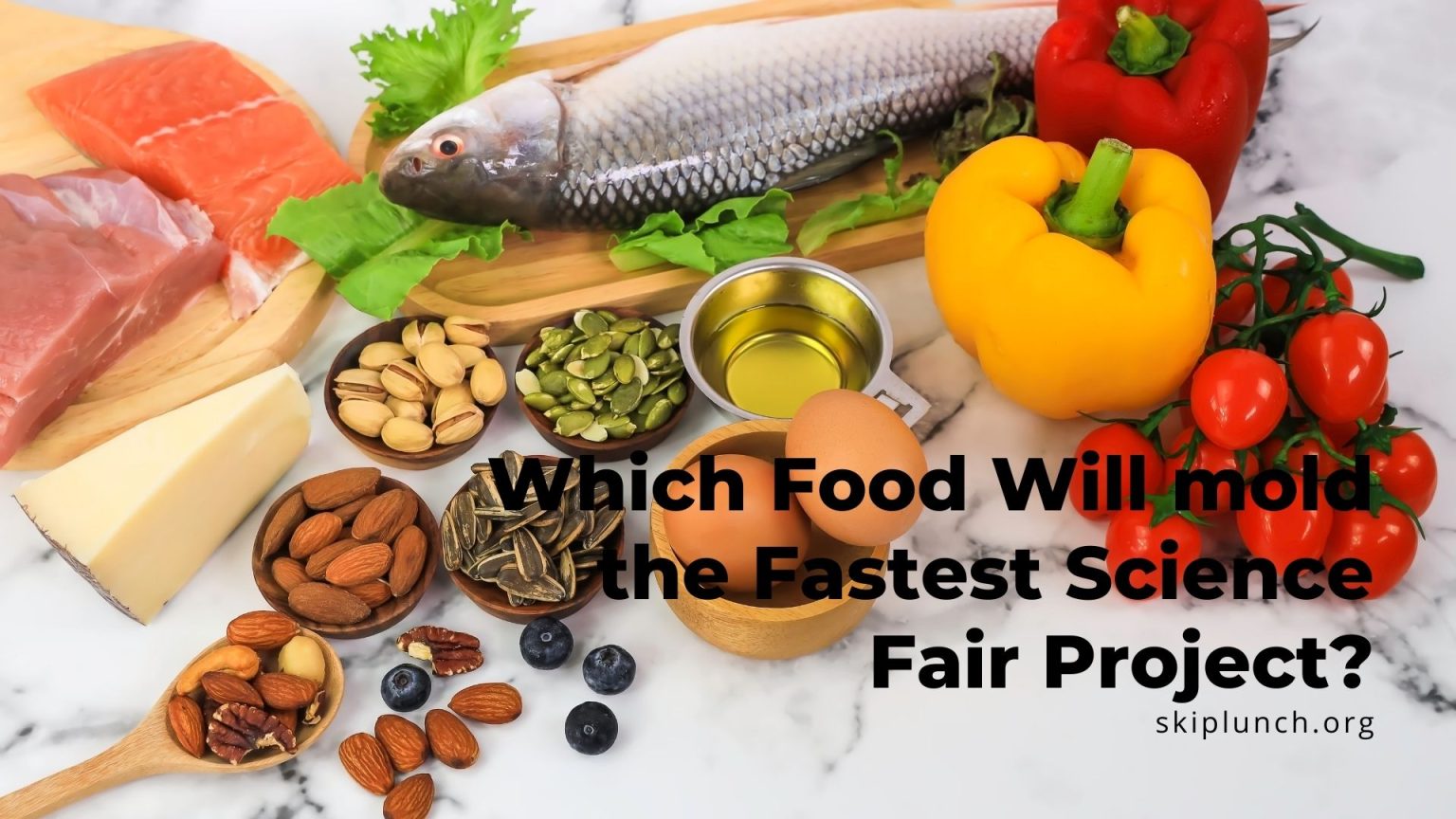 Which Food Will mold the Fastest Science Fair Project?
